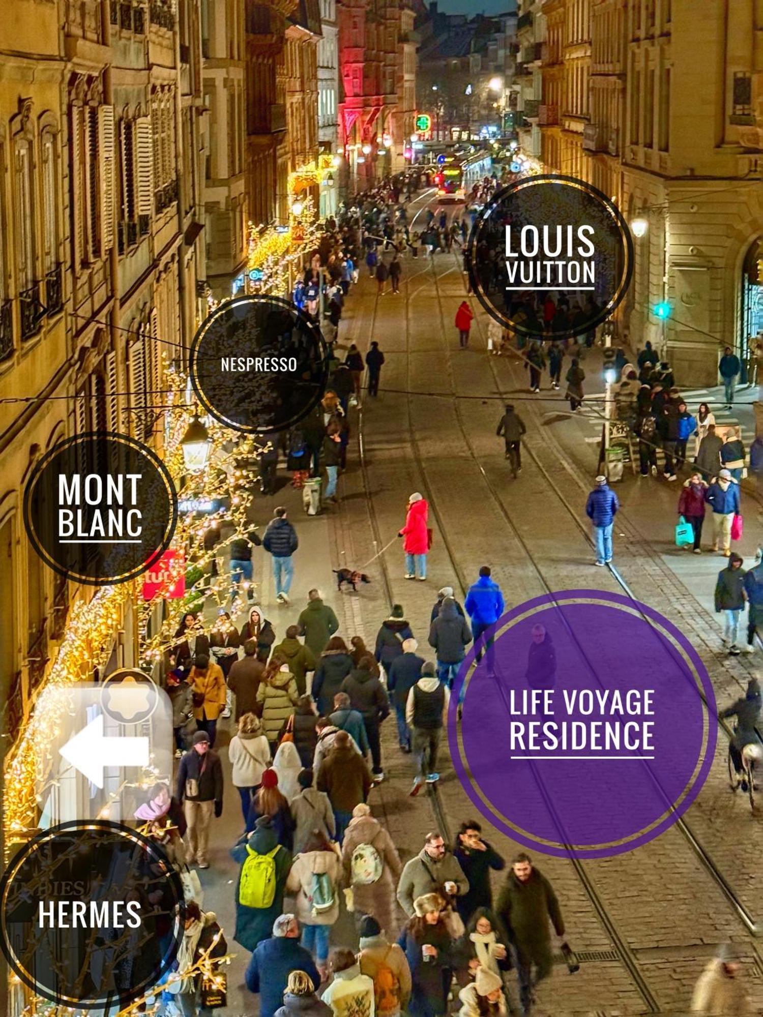 Life Voyage Residence & Spa - Strasbourg'S City Center Luxury Experience מראה חיצוני תמונה